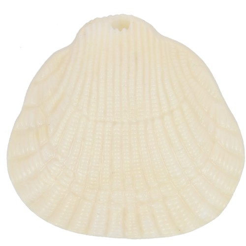 34x36mm Shell resin pendant - Cream marbled x1