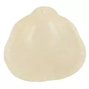 34x36mm Shell resin pendant - Cream marbled x1