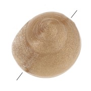 9mm Resin shell bead - Marbled bronze x6