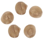 9mm Resin shell bead - Marbled bronze x6
