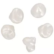 9mm Resin shell bead - Pearlescent white x6