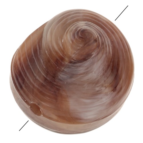 12mm Resin shell bead - Marbled Light brown - Dark brown x5