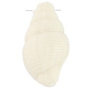 20.5x13mm Shell pendant in opaque resin - Ecru x1|raw }}