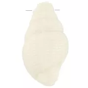 20.5x13mm Shell pendant in opaque resin - Ecru x1