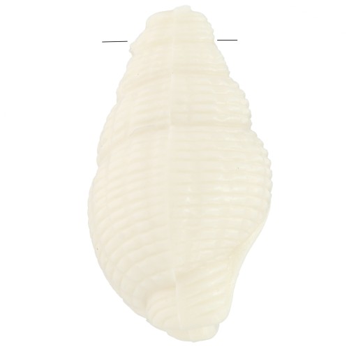 20.5x13mm Shell pendant in opaque resin - Ecru x1