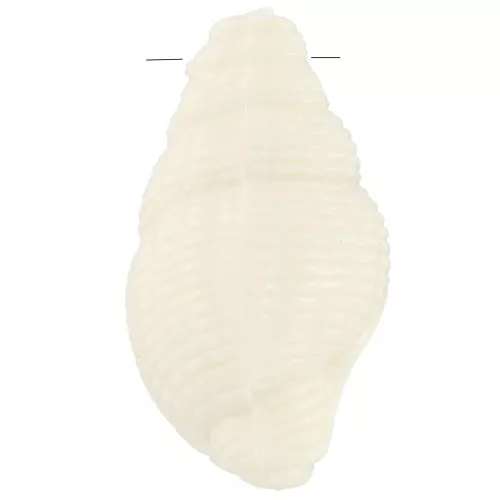 20.5x13mm Shell pendant in opaque resin - Ecru x1