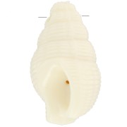 20.5x13mm Shell pendant in opaque resin - Ecru x1