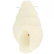 20.5x13mm Shell pendant in opaque resin - Ecru x1