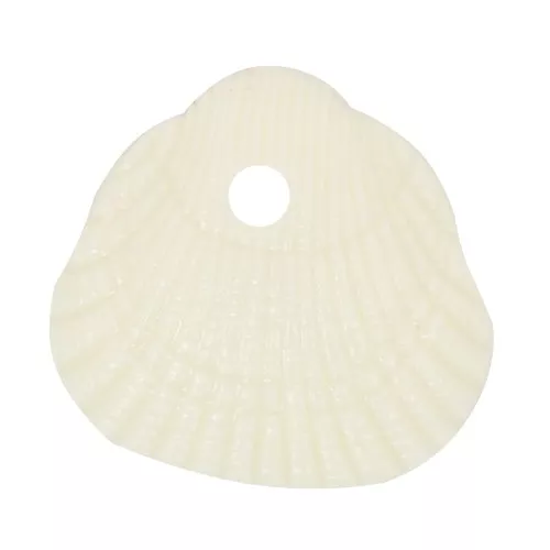 10x10.5mm Sequin shells in opaque resin - Ecru x6