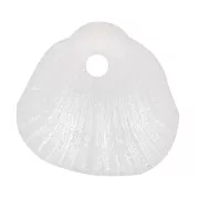 10x10.5mm Sequin shells in opaque resin - Pearlescent white x6