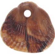 17x18mm Sequins shells resin opaque - Marbled Light brown - Dark brown x4