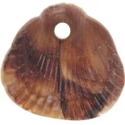 17x18mm Sequins shells resin opaque - Marbled Light brown - Dark brown x4