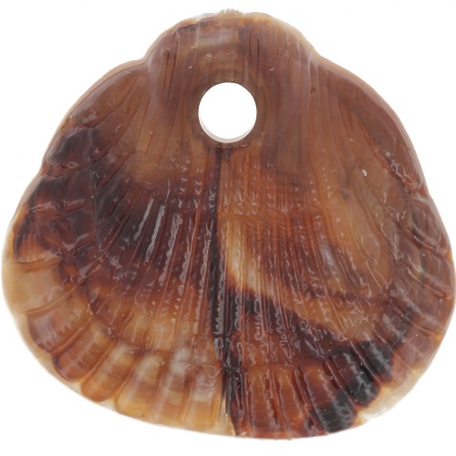 17x18mm Sequins shells resin opaque - Marbled Light brown - Dark brown x4