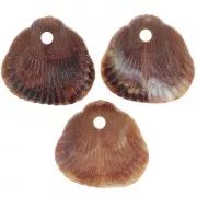 17x18mm Sequins shells resin opaque - Marbled Light brown - Dark brown x4