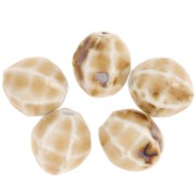 16x14mm Oval striated ceramic beads - Beige - Marbled brown x5