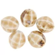 16x14mm Oval striated ceramic beads - Beige - Marbled brown x5