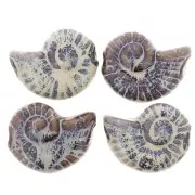 40x31mm Ceramic shell bead - Dark brown - Blue and beige marbled x1