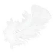 Feathers fuzz 8 cm whitex5gr