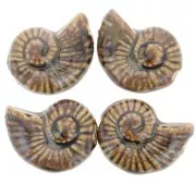 40x31mm Ceramic shell bead - Brown x1