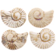 40x31mm Ceramic shell bead - Beige - Marbled brown x1