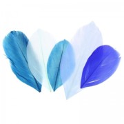 Feathers assortment camaieu bleu x10gr