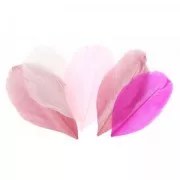 Feathers assortment 6cm Camaieu pink x10gr