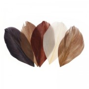 Feathers assortment 6cm Camaieu Chocolate x10gr