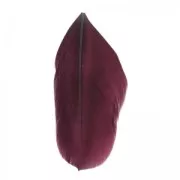 Feathers 6cm Bordeaux x3gr
