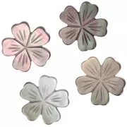 12mm mother-of-pearl cherry blossom bead - Iridescent grey x1