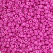 Miyuki Seed beads 11/0 4751 - Dyed Opaque Magenta x8g
