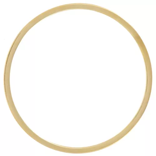25 mm circle mounting and weaving rings - 304L Gold stainless steel x10