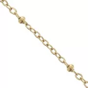 Trace mesh chain 2.7mm with flattened beads Stainless steel 304L Gold x99cm