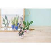 Cernit modelling kit - Mini plants x1