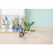 Cernit modelling kit - Mini plants x1