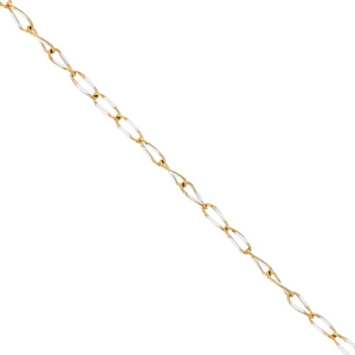 3.8mm Stainless steel 201 Horse and epoxy resin mesh chain - Gold - White x1m