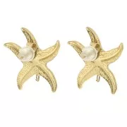 20mm Stainless steel 304L Starfish earstuds hammered - Gold x2