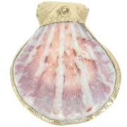 37 - 40mm Shell pendant with gold trim - Natural x1|raw }}