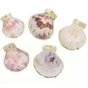 37 - 40mm Shell pendant with gold trim - Natural x1