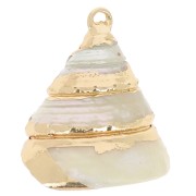 20 - 22mm Conical shell pendant with gold trim - Natural x1|raw }}