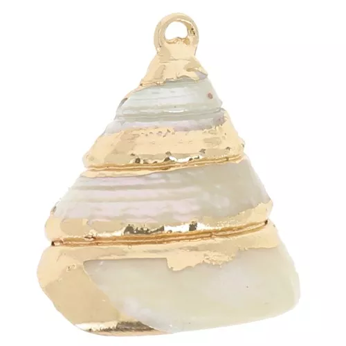 20 - 22mm Conical shell pendant with gold trim - Natural x1