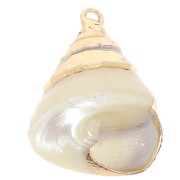 20 - 22mm Conical shell pendant with gold trim - Natural x1