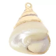 20 - 22mm Conical shell pendant with gold trim - Natural x1
