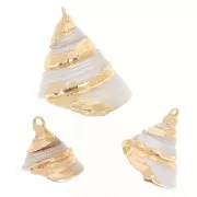 20 - 22mm Conical shell pendant with gold trim - Natural x1