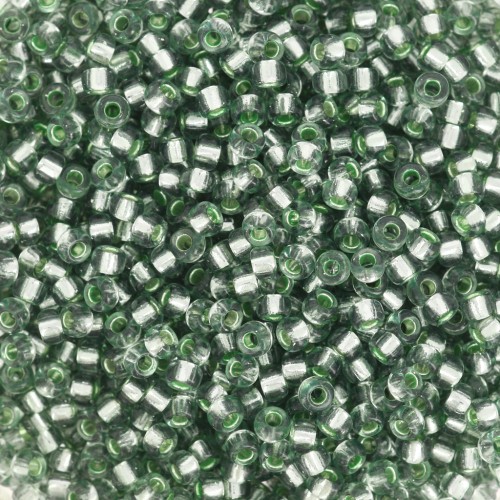 Seed beads Miyuki 11/0 1456 - Dyed Silver Lined Lichen x8g