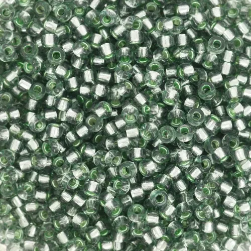 Seed beads Miyuki 11/0 1456 - Dyed Silver Lined Lichen x8g