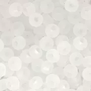 Miyuki Seed beads 6/0