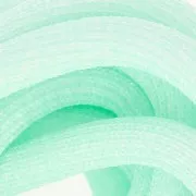 Braided cord 10 mm Mint With Spangles x2.80m