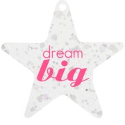 50x52mm Plexiglas star pendant - Dream big - Transparent - Silver glitter x1