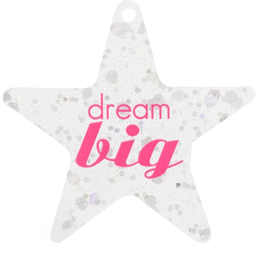 50x52mm Plexiglas star pendant - Dream big - Transparent - Silver glitter x1