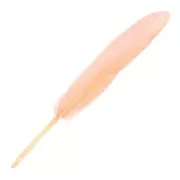 Feathers 10 to 15 cm  Peach Coral x100